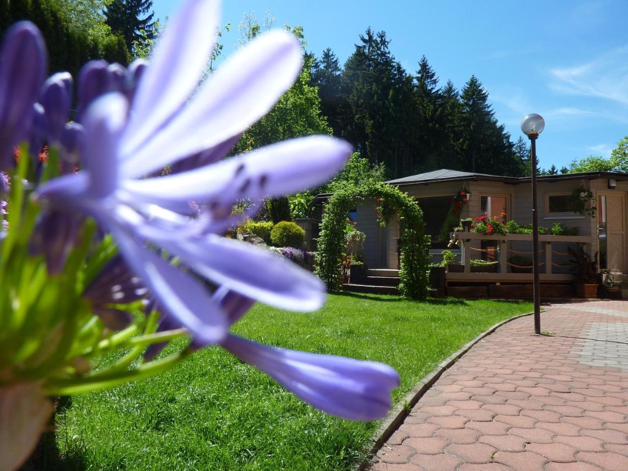 Pension Ayky Jablonec nad Nisou Bagian luar foto